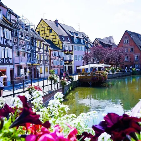 Les Côté Blind Confort Proche Colmar