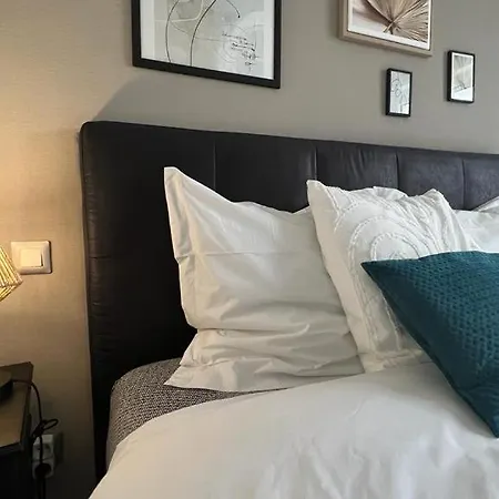 Les Côté Blind Confort Proche Colmar Appartement Bischwihr