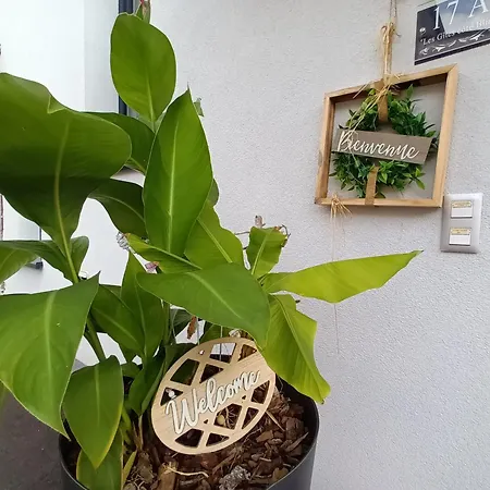 Appartement Les Côté Blind Confort Proche Colmar Bischwihr