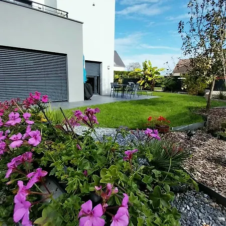 Les Côté Blind Confort Proche Colmar